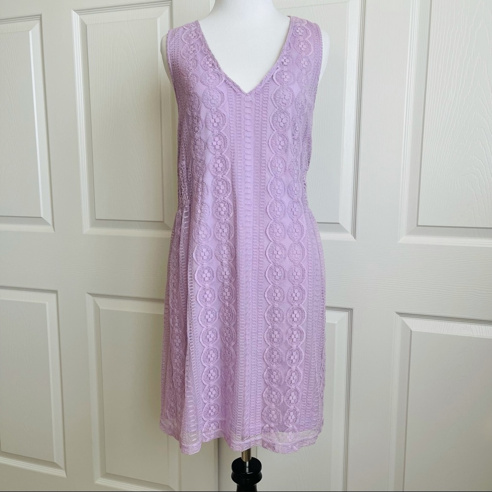 NWT Francesca’s (Blue Rain) Lavender Lace Shift Dress M